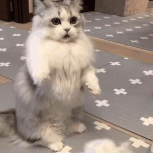 欢乐谷网址最新消息
